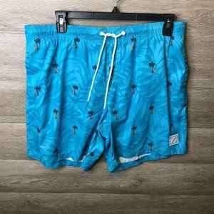 American Eagle Mens XL Blue Swimsuit NEW